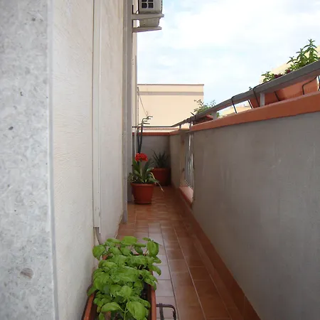Nocleg ze śniadaniem Delle Palme Trapani